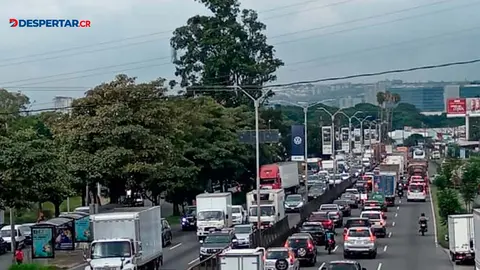 Las vallas comerciales instaladas en los postes del alumbrado p&uacute;blico deber&aacute;n desaparecer a m&aacute;s tardar el 15 de diciembre pr&oacute;ximo. Foto S&oacute;crates Colindres