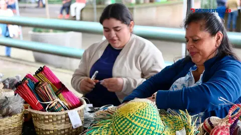 Seg&uacute;n un estudio realizado por el CINPE de la  UNA las MiPymes son una gran parte del mercado laboral del pa&iacute;s. Foto MEIC