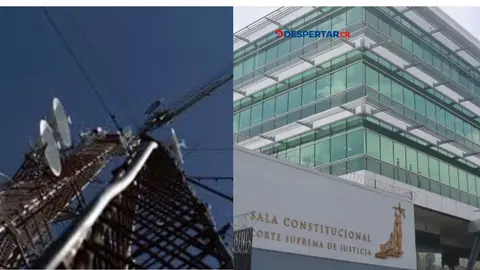 El Tribunal Constitucional invalida licitaci&oacute;n de SUTEL por usar solo el criterio econ&oacute;mico