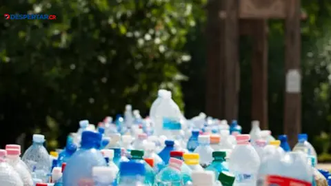 Sector productivo advierte inseguridad jur&iacute;dica y exceso de cargas en iniciativa sobre botellas pl&aacute;sticas