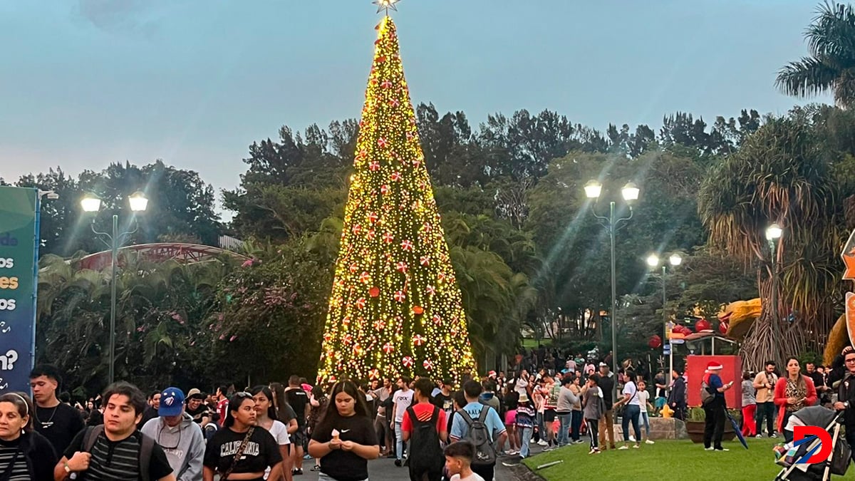 El árbol de 18 metros se logra ver de la mayoría de lugares del Parque. Foto Sócrates Colindres