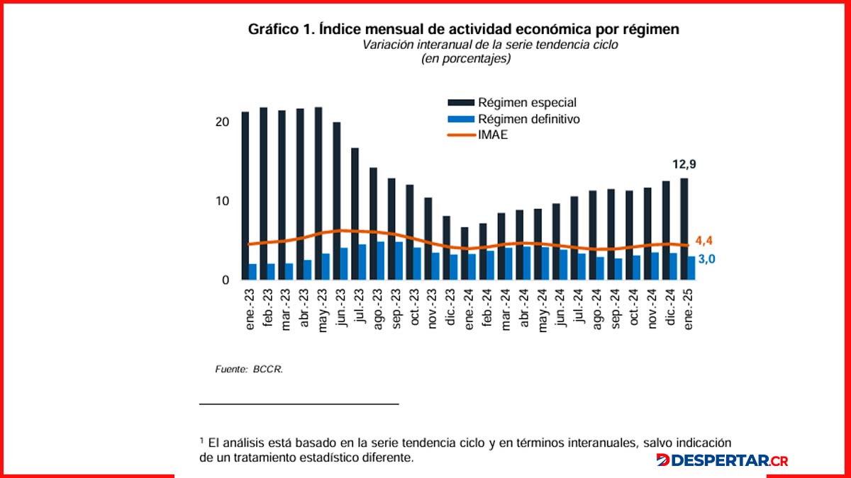 Gráfico IMAE Enero2025