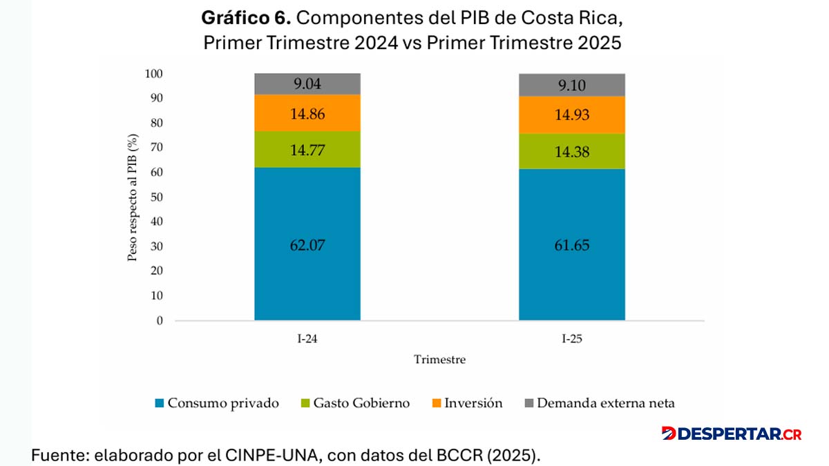 COMPONENTES