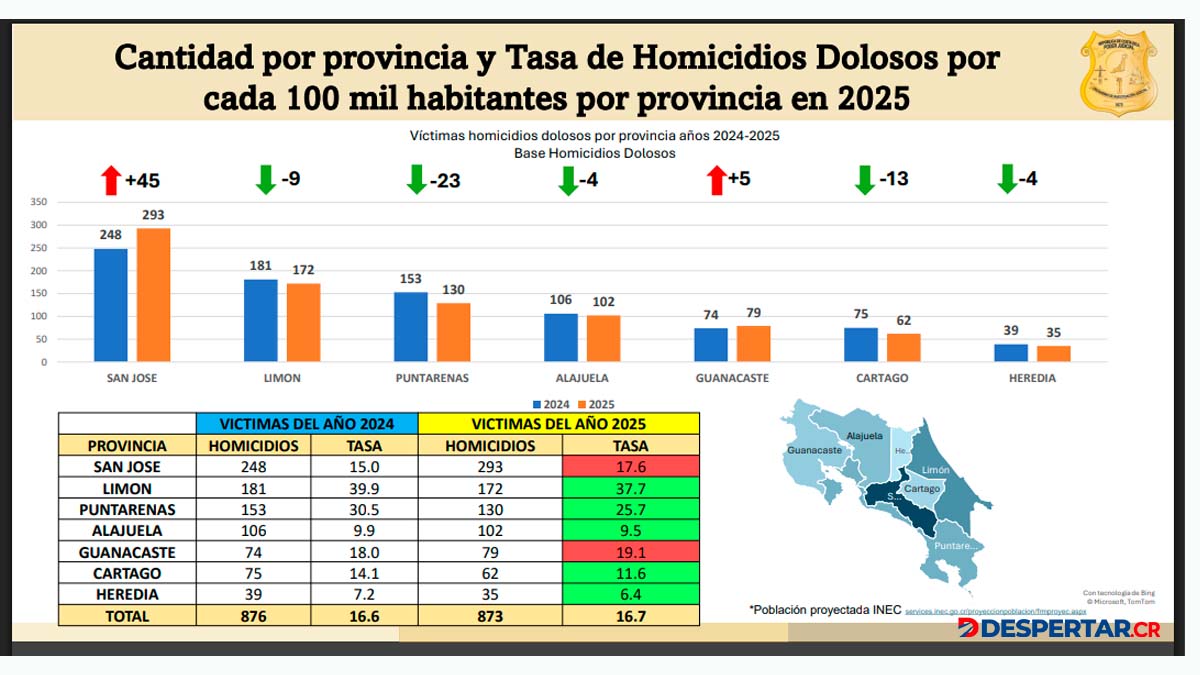Datos estadísticos 2025 OIJ